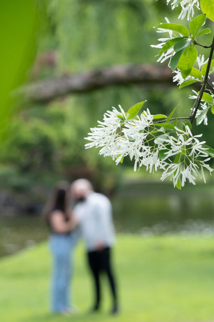 surprise proposal at the Boston Public Garden