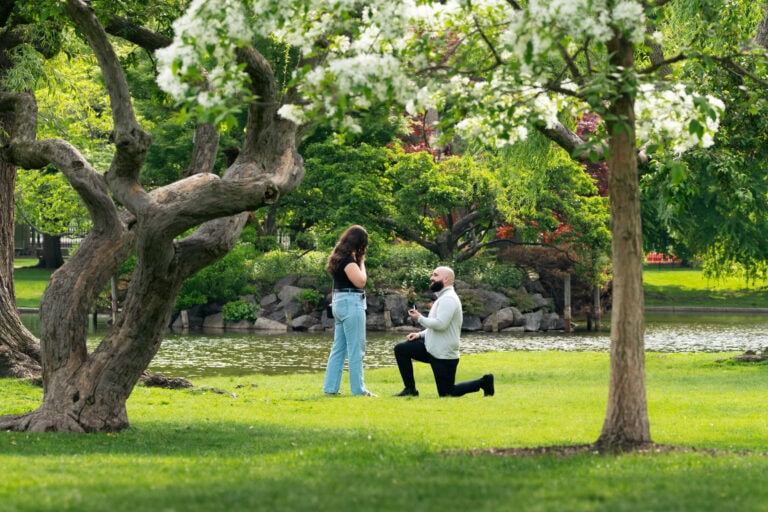 surprise proposal at the Boston Public Garden
